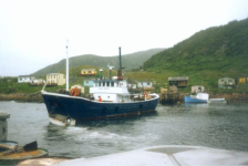618: Red Island. The fish collector being turned in the harbor by a speedboat. (1995) [courtesy of Pius Mulrooney]